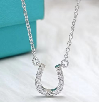 Collar Tiffany Herradura Pavé Plateada