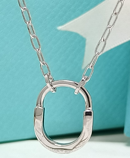 [N0347-1] Collar Tiffany Lock Liso Platino